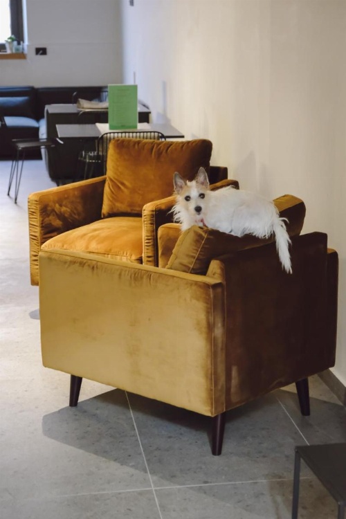 Central Lodge Hotel image 10